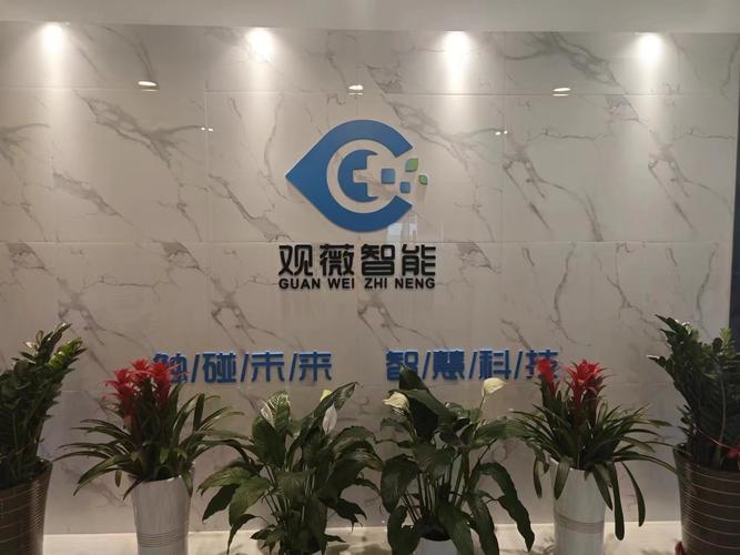 观薇智能 聚焦“AI+健康” 勇当推进中国式现代化“生力军”